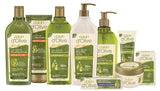 Dalan d'Olive Pure Olive Oil Body Lotion with Pump | 13.5 fl.oz (400ml) x 12 | NEW | NOURISHING